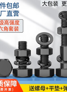 8.8级高强度外六角螺丝螺母套装配件大全加长螺栓M5M6M8M10M12M16