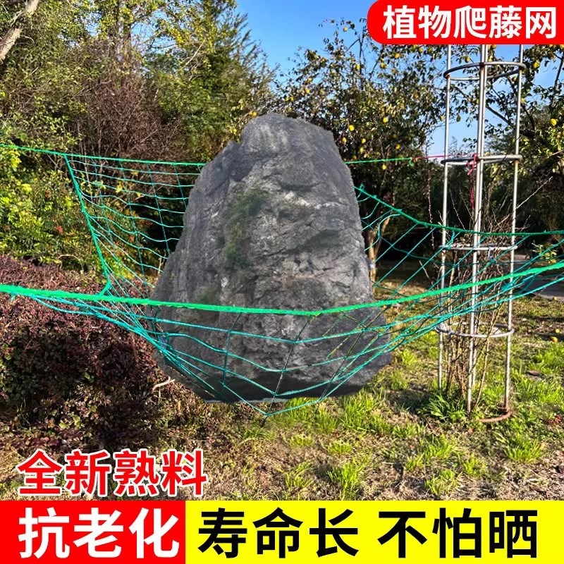 植物爬藤网种植网攀爬搭架网百香果豆角黄瓜月季吊瓜丝瓜苦瓜葡萄