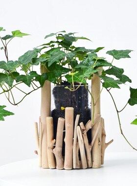 手工原木树枝绿植花瓶摆件客厅玄关插花艺创意高级感装饰餐桌花器