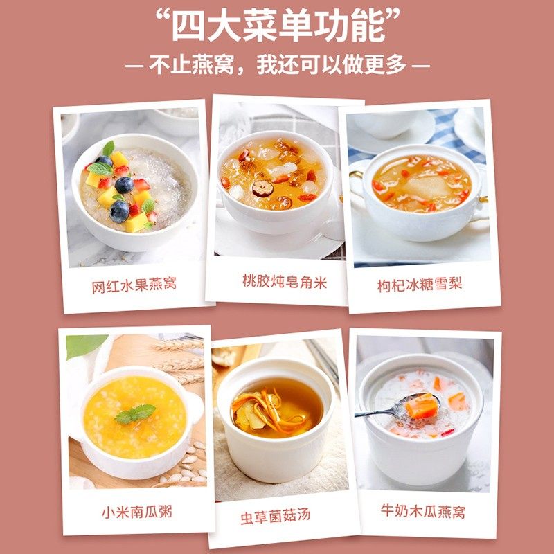 天际小电炖锅燕窝炖盅专用玻璃雪燕隔水炖煲汤养生桃胶银耳家用机