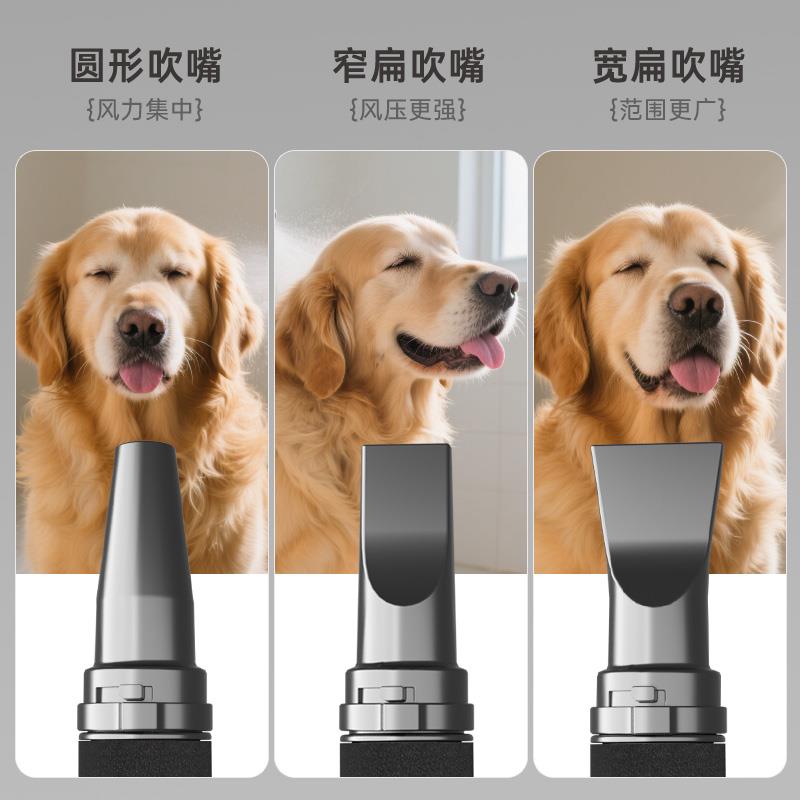 神宝吹水机大型犬宠物店吹毛吹风机大功率静音双马达吹水机拉毛机