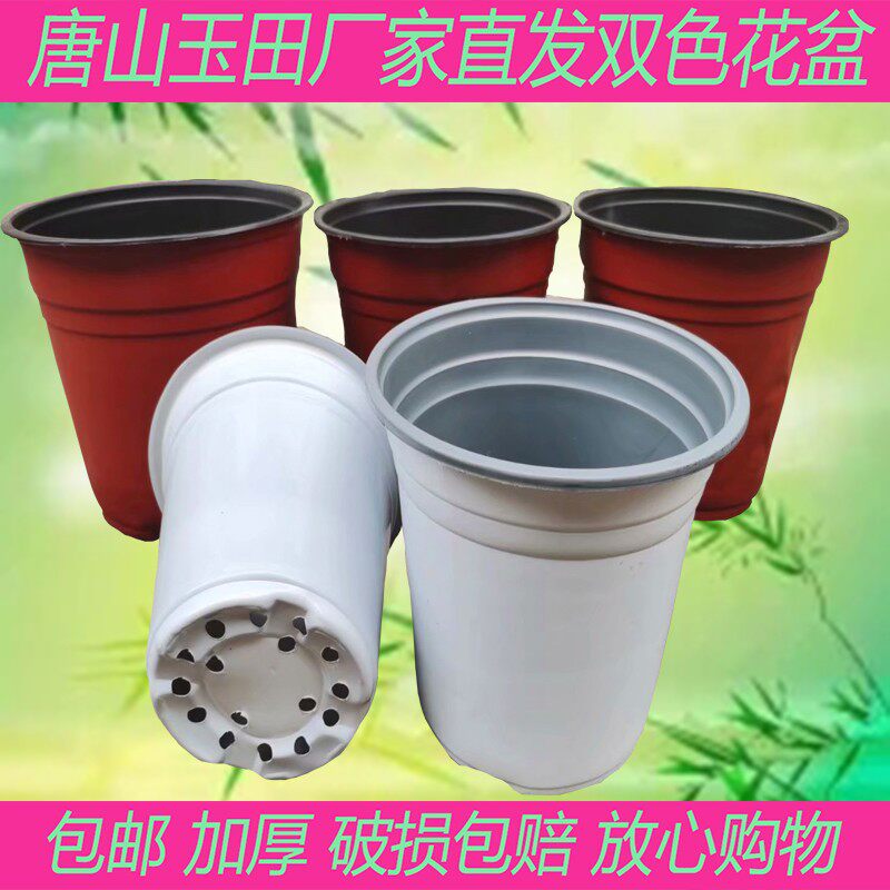 白色多肉花盆摔不坏育苗塑料一次农用大号营养钵营养杯加厚软耐用