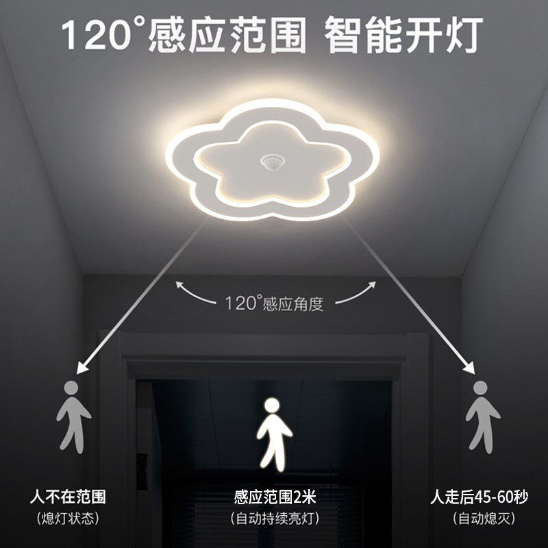 感应灯人来即亮人走即灭入户楼道夜间人体led过道灯走廊灯玄关灯