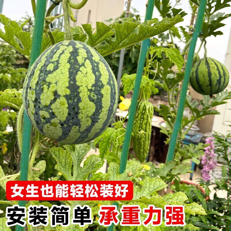 50根爬藤架花架包塑钢管葡萄架子庭院户外黄瓜豆角番茄植物支撑杆