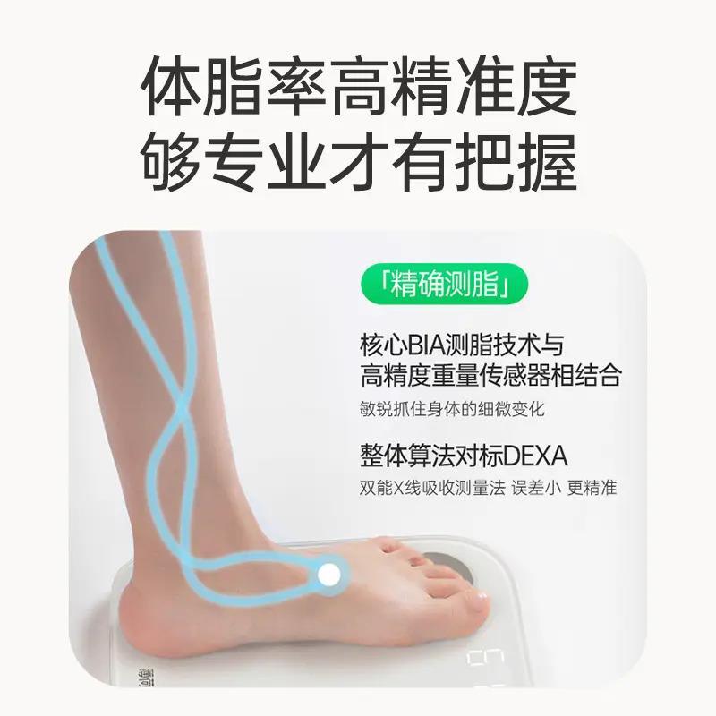 薄荷健康体重秤萌兰联名款智能体脂秤精准耐用蓝牙小型电子称