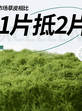 仿真苔藓盆景装饰仿生人造假苔藓草皮微景观植物diy绿植铺面装饰