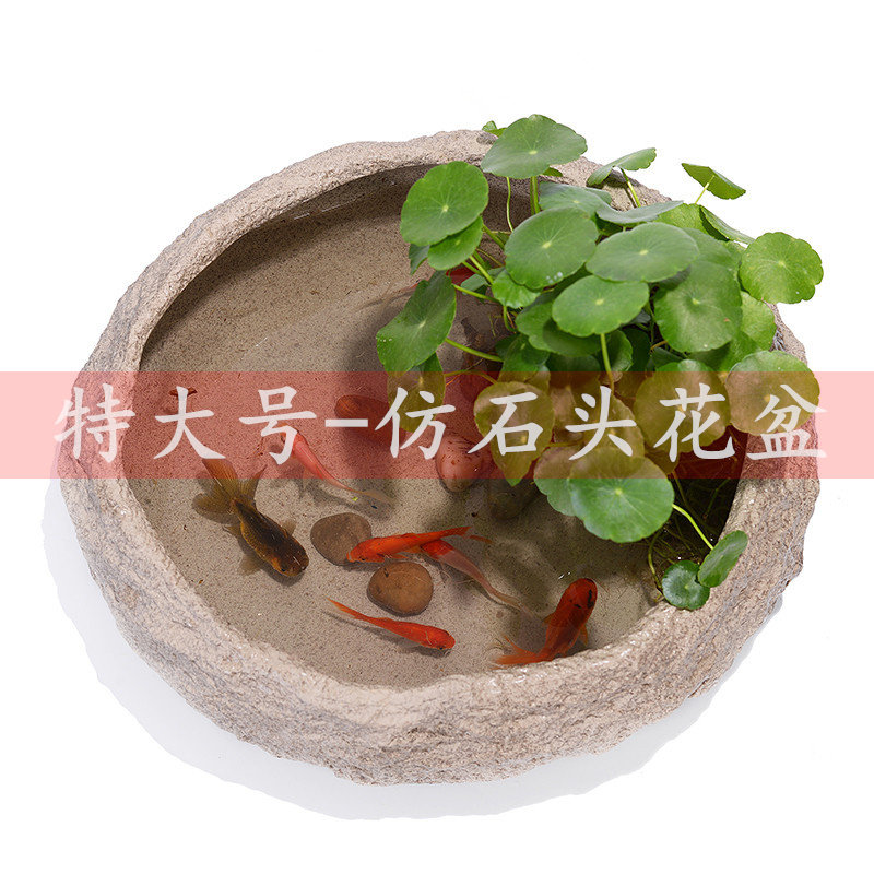 水养睡莲碗莲盆缸水培绿萝铜钱草仿石头花盆陶瓷特大号无孔金鱼缸