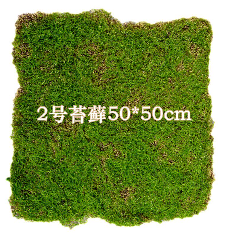 仿真苔藓草坪青苔草皮植物墙背景面婚庆铺地装饰青苔枯山水软装