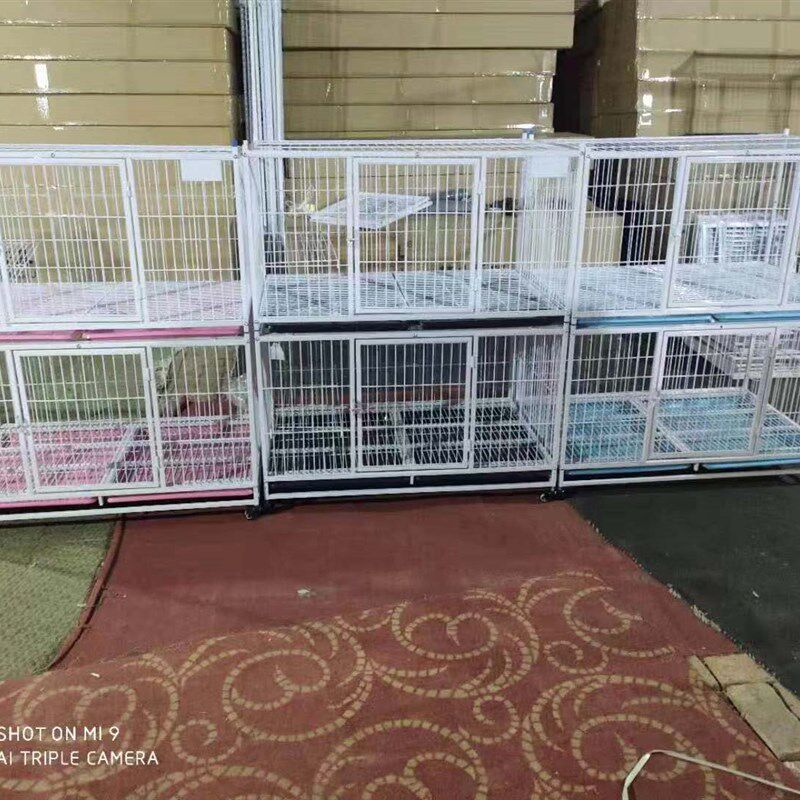 金奥110猫笼 笼子 笼具 养殖笼 繁育笼 家用猫笼 宠物店寄养 别墅