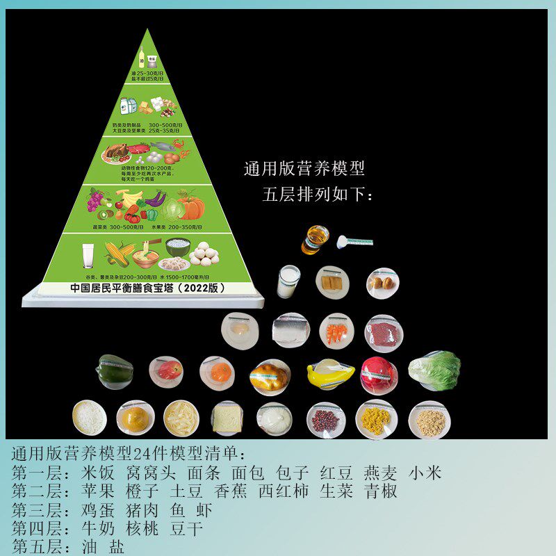 2022中国居民平衡营养指导膳食宝塔模型仿真食物金字塔交换份模型
