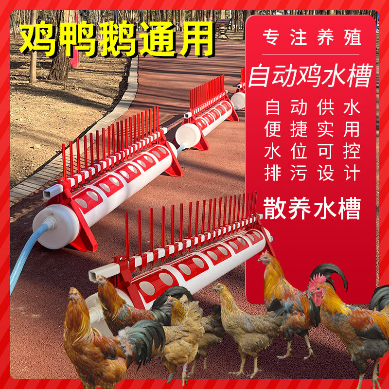 养鸡饮水器鸡鸭鹅自动喂水器喝水槽养殖鸡用自动饮水槽鸭子喝水槽