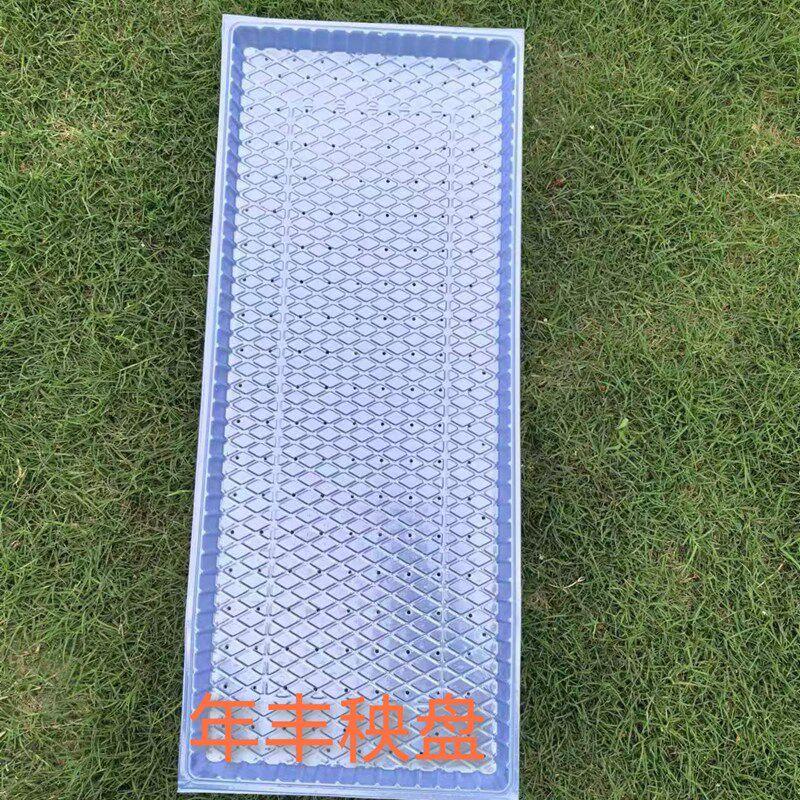 抛秧盘机插菱形平盘早稻水稻育苗盘软盘水稻培养苗盆机插秧盘托盘