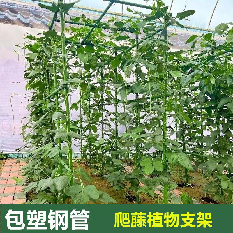 长方形爬藤植物支架包塑钢管户外庭院葡萄黄瓜豆角月季花支撑架杆