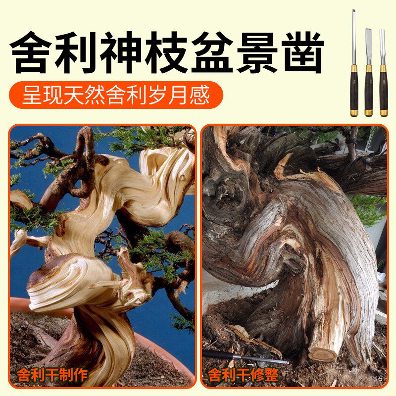 盆景凿子松柏专用舍利制作挑刀雕刻刀敲疤痕工具老桩造型制作工具