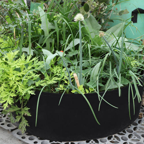 种美植袋加厚无纺布楼顶种菜大超特号黑色阳台种植神器防腐木花箱