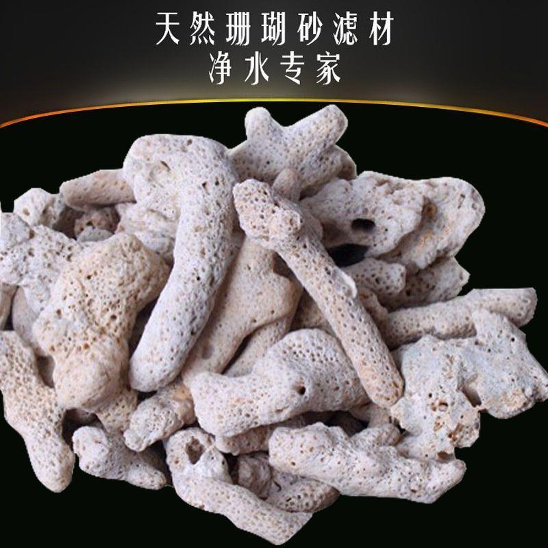 珊瑚骨鱼缸滤材优质珊瑚砂珊瑚石碎精选珊瑚骨装饰水族造景包邮