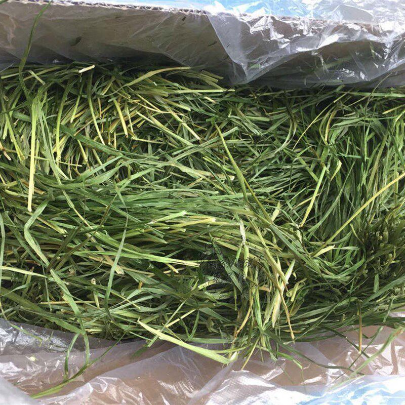 21年二茬赫尔达特级烘干提摩西草毛重1公斤箱装南提包邮10月新到