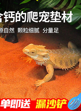 爬宠钙沙鬃狮守宫蜥蜴陆龟蝎子垫材砂石爬虫沙漠造景沙子饲养爬沙