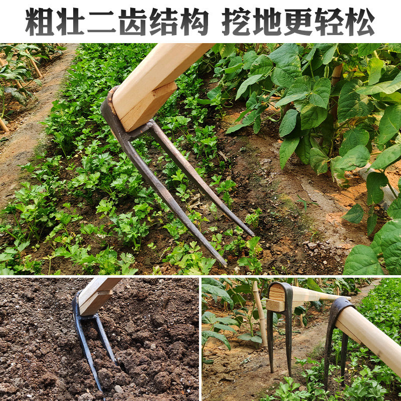 农用二齿锄头挖地翻土刨地老式挖笋农用工具大全两齿耙子家用种菜