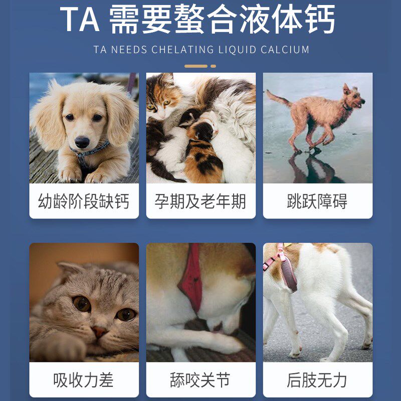 狗狗液体钙MAG宠物猫咪狗狗幼犬健壮骨粉泰迪金毛狗猫咪钙液产后