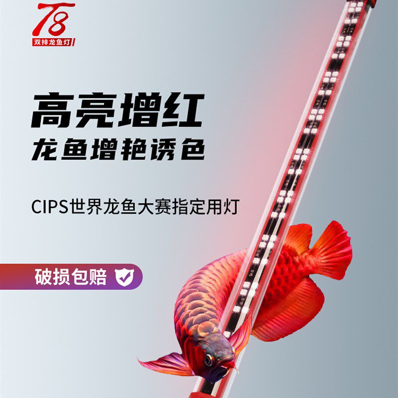 龙鱼灯专用LED灯管 T8神灯系列三基色增艳照明器材