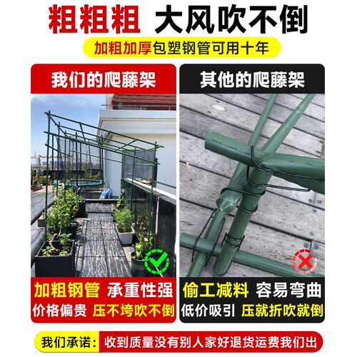 黄瓜爬藤架竹竿葡萄豆角爬藤网免安装花架爬藤支架杆楼顶种菜架子
