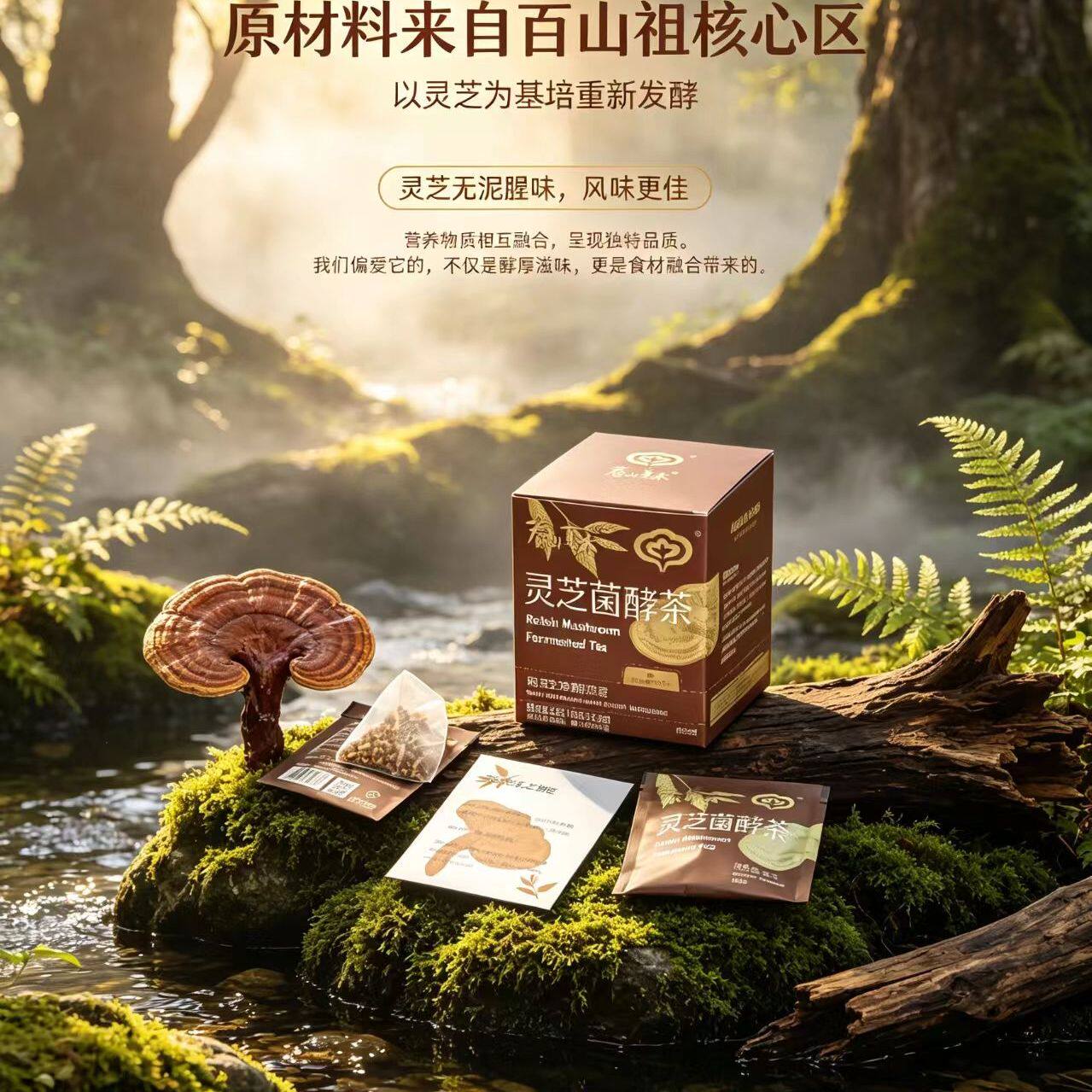 春山夏木灵芝菌酵茶纯灵芝发酵自己喝养生茶好吸收茶包熬夜袋泡茶