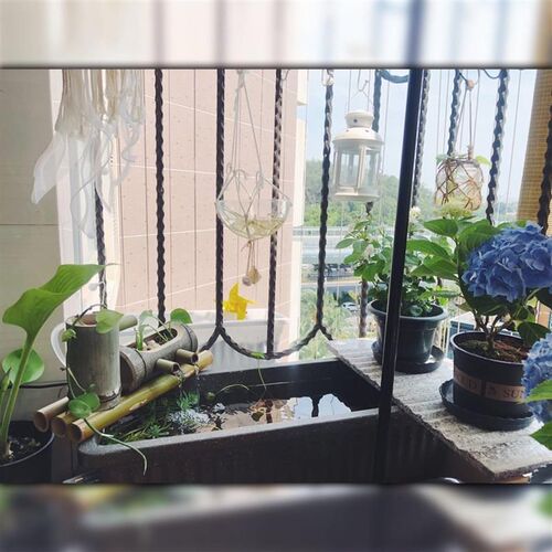 水槽花盆塑料阳台鱼缸长方形菜盆种植室内蔬菜家庭池养睡莲的专用