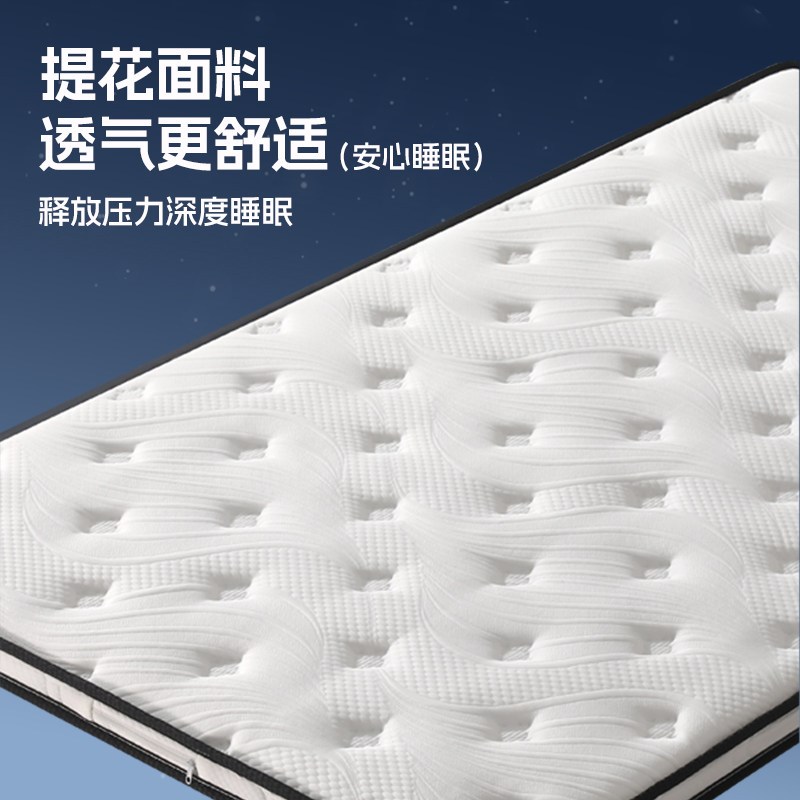 床垫椰棕垫棕榈硬垫家用榻榻米垫子可定制伸缩沙发床床垫折叠家用
