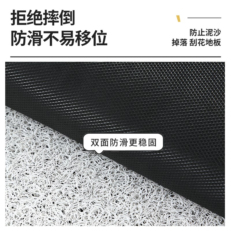 纯色极简风入户门丝圈地垫门厅玄关门口家用脚垫子耐脏防滑垫地毯