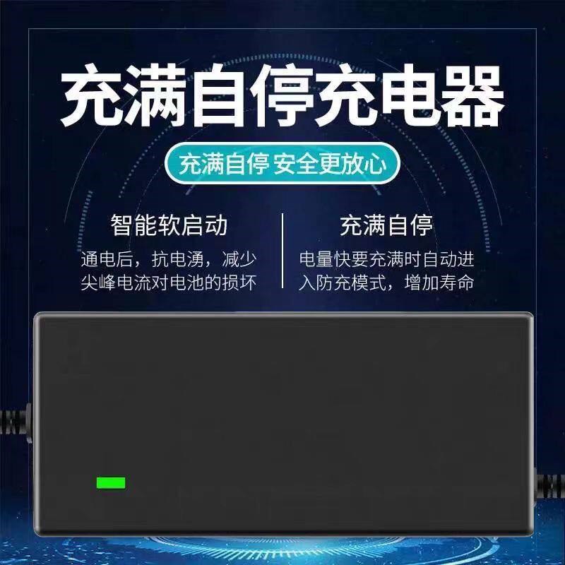 新国标2+4插孔锂电池充电器电动车电瓶车48V54.6v快充锂离子原装