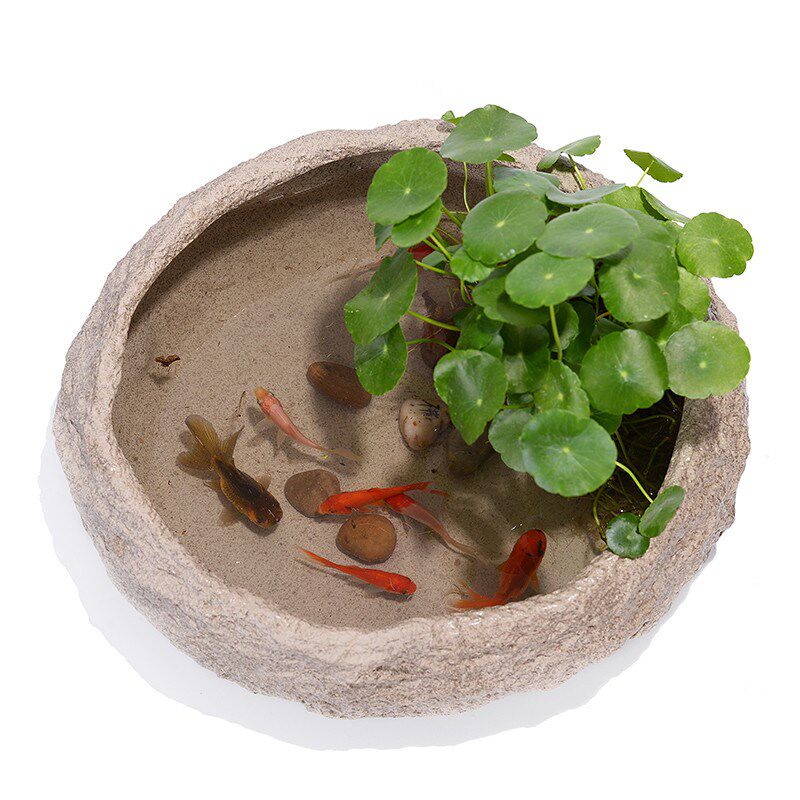 水养睡莲碗莲盆缸水培绿萝铜钱草仿石头花盆陶瓷特大号无孔金鱼缸