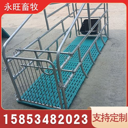 母猪产床冷热镀锌限位栏单体落地式产床母猪固定栏猪产床养殖设备