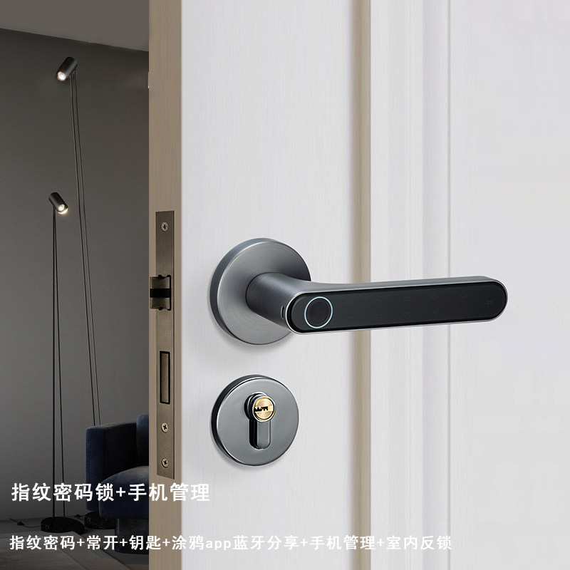 木门指纹锁家用室内房门磁吸指纹智能门锁办公室蓝牙远程密码门锁