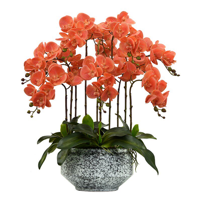 蝴蝶兰仿真花高级手感兰花假花盆栽轻奢客厅餐桌前台装饰花艺摆件