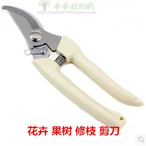 园艺用具 修剪花木 果树 花卉 修枝剪刀 园艺工具 花剪