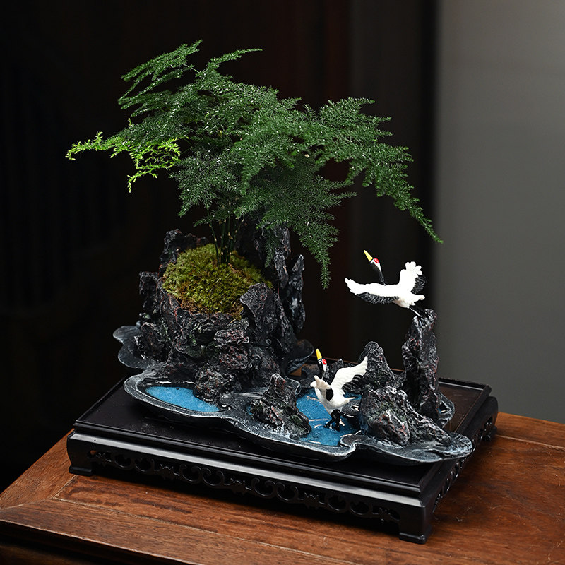 文竹六月雪盆景植物办公室内四季常青微景观绿植好养桌面摆件盆栽