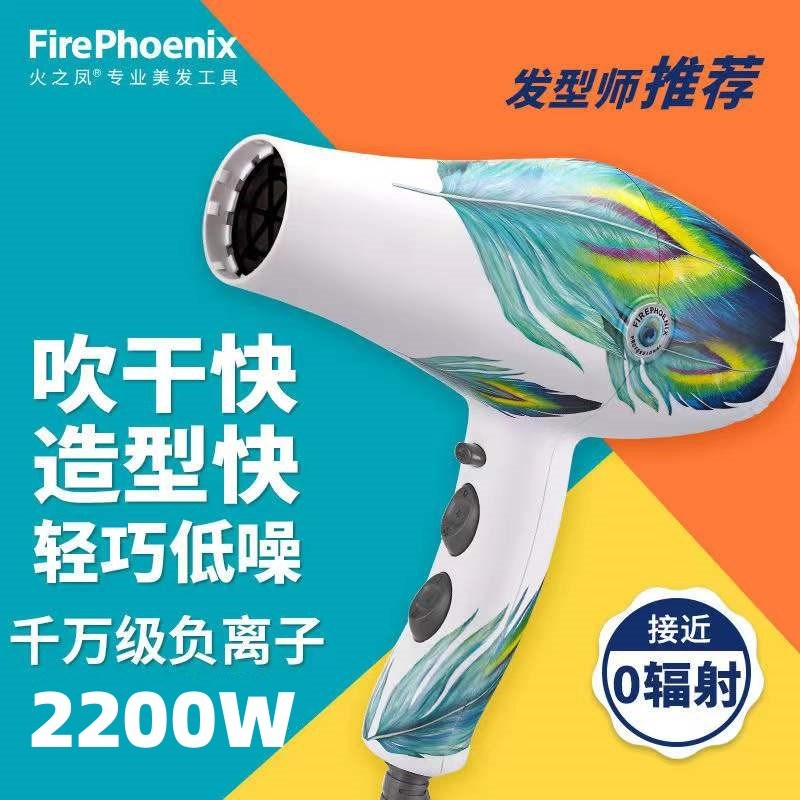 火之凤吹风机发型师专用超轻静音发廊大功率正品美发电吹风8960图片