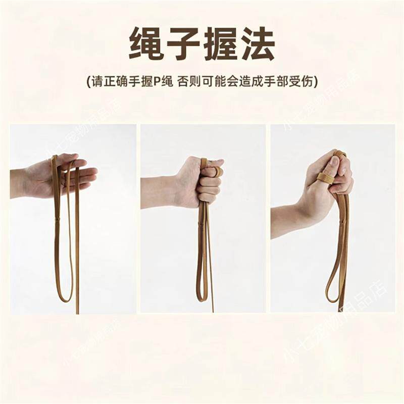 比赛P绳宠物牵引绳狗绳子P链训犬狗链金毛萨摩边牧大中型小犬项圈