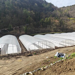 连栋大棚温室大棚钢管骨架定制蔬菜种植养殖大棚薄膜遮阳玻璃温室