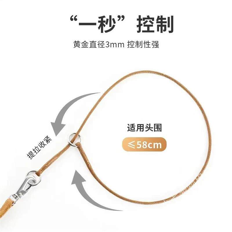 比赛P绳宠物牵引绳狗绳子P链训犬狗链金毛萨摩边牧大中型小犬项圈