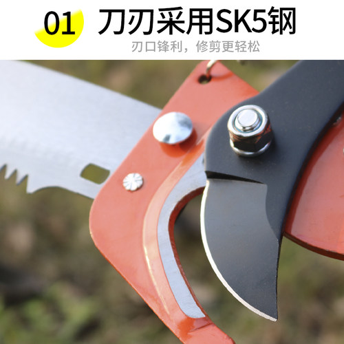 高枝剪高空剪树枝园林工具高空修枝剪树枝剪采果修枝果剪园林工具
