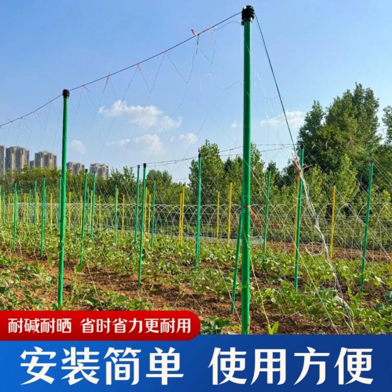 百香果立柱柑橘种植架农用瓜藤类大棚支架杆遮阳网玻璃纤维管