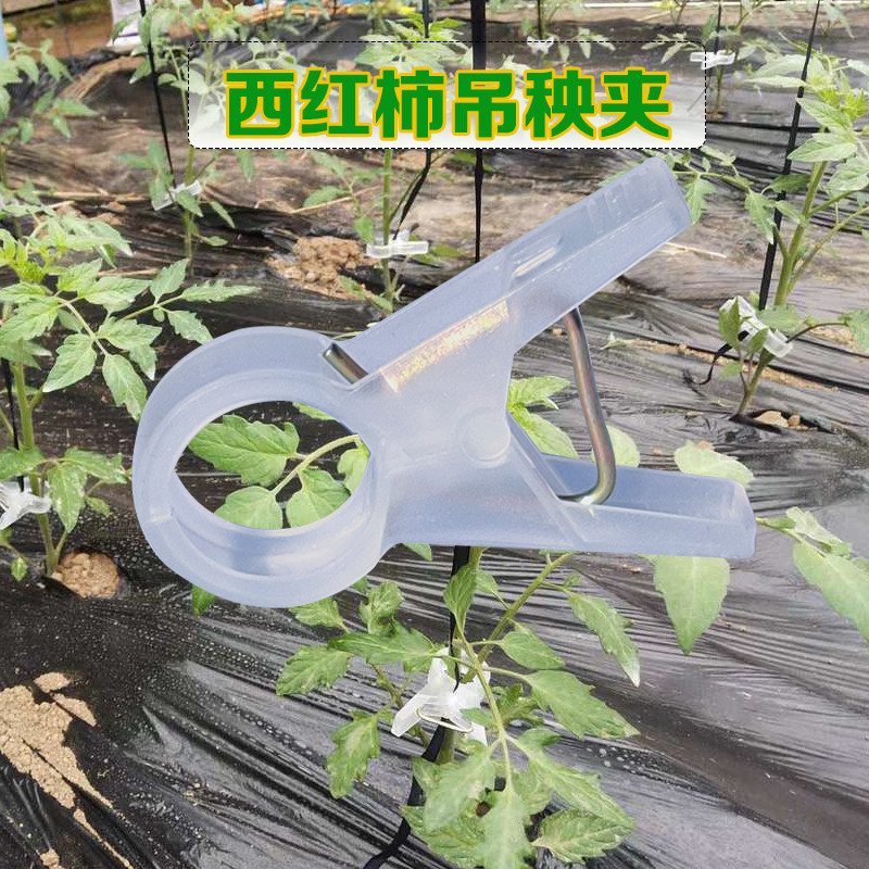 大棚黄瓜夹子番茄西红柿绑蔓夹吊秧夹吊蔓夹扶蔓夹落蔓夹落秧夹