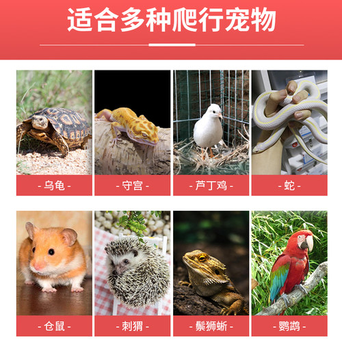 pvc爬箱爬宠饲养箱饲养缸乌龟蜥蜴蜘蛛陆龟宠物恒温箱加温保温箱