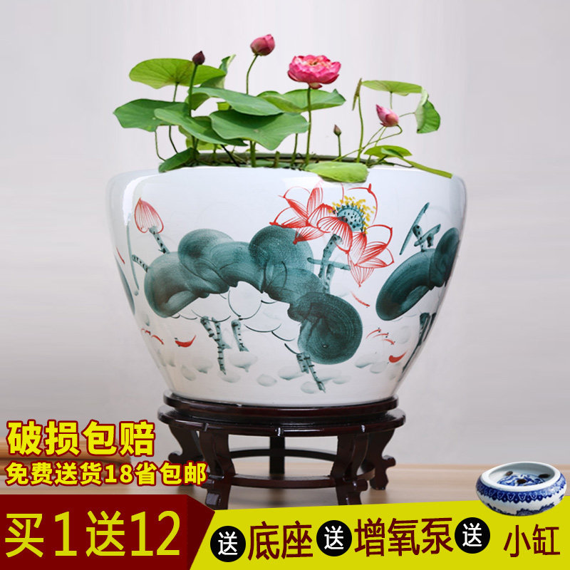 景德镇陶瓷鱼缸水族箱 大号碗莲睡莲花盆荷花金鱼缸客厅乌龟缸