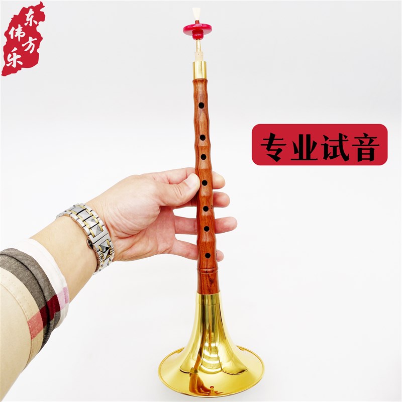 唢呐初学者红木唢呐专业演奏唢呐保音准芯子气盘哨片配件全套乐器