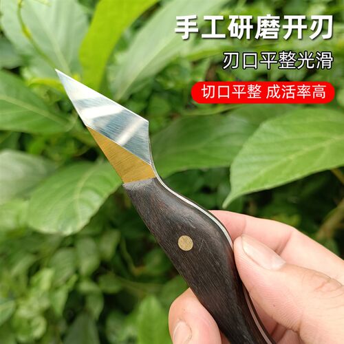 盆景金弹子芽接刀M42高速锯片钢嫁接刀硬度67+园林园艺嫁接工具