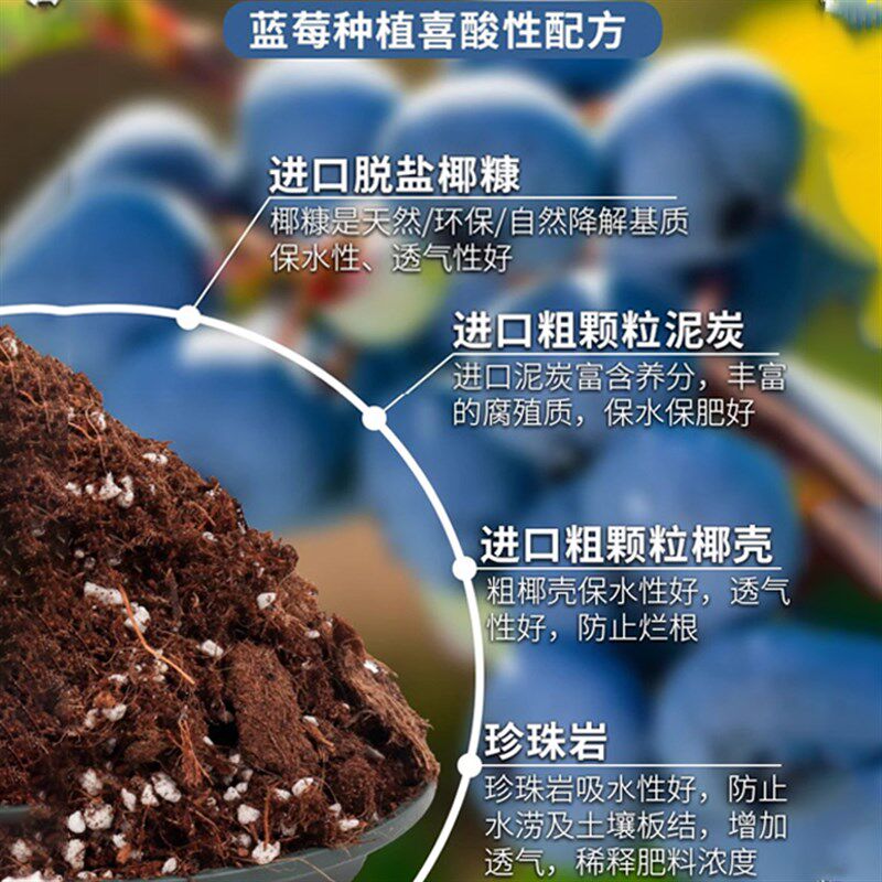 蓝莓专用土营养土盆栽酸性土壤种植土泥炭土疏松透气有机花土花泥