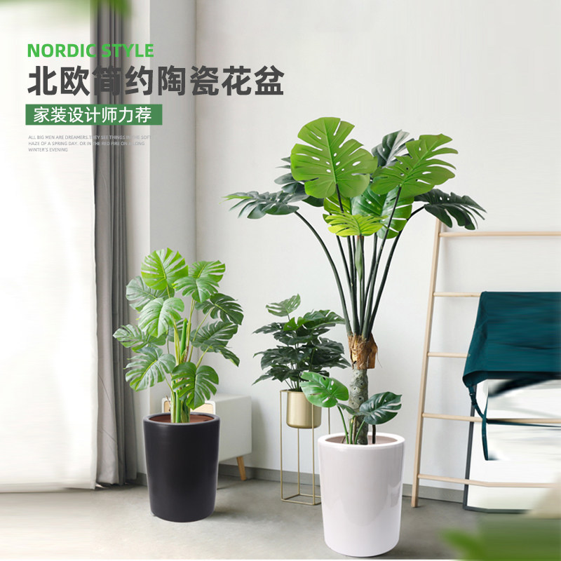 大笔筒简约百搭哑光直筒特大琴叶榕陶瓷花盆落地发财树虎皮兰花盆